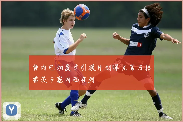 费内巴切夏季引援计划曝光莱万格雷茨卡塞内西在列