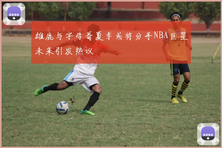 雄鹿与字母哥夏季或将分手NBA巨星未来引发热议