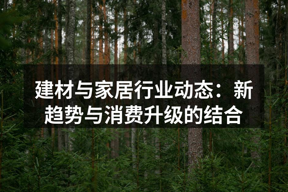 建材与家居行业动态：新趋势与消费升级的结合